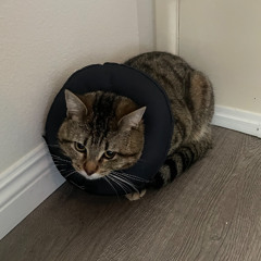 Taste X Dancing in the dark (demo)