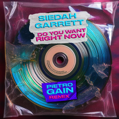 Siedah Garrett - Do you want right now (Pietro GAIN remix) [Free DL]