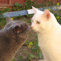 love in motion cover