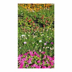 garden summers (demo)