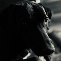 Veo Veo - Ultron Power Edit