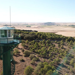 UPL exige a la Consejería de Medio Ambiente que deje sin efecto la reducción de efectivos humanos en la vigilancia de incendios forestales