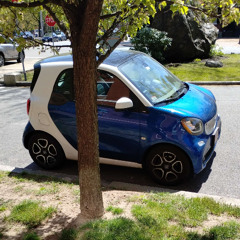 mlvn. - little tyke ass car