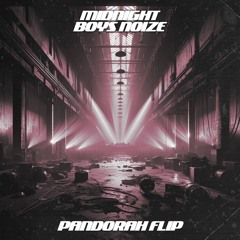 Midnight - Boys Noize (Pandorah Flip)