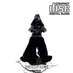 PHLEXN " Dried Paint (prod.BHUNNA + ESHARPE)