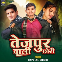 Tejpur Wali Chori (feat. Bapulal Dindor)