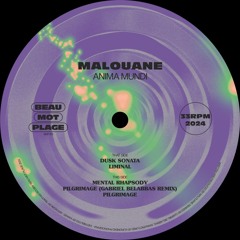 Premiere : Malouane - Pilgrimage (Gabriel Belabbas Remix) (BMP103)
