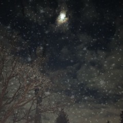See The Stars
