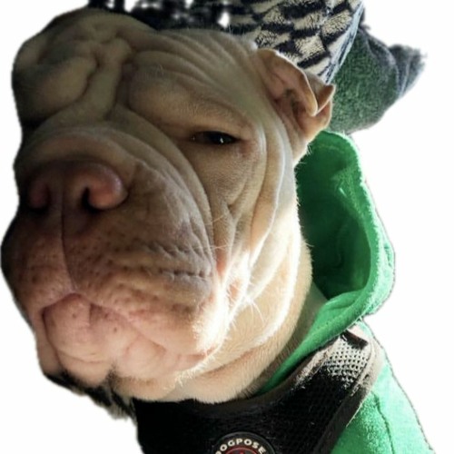 digging into trip 66 back-alley (new hiphop)