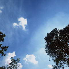tam tri lang thang