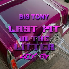 Big Tony - Last Pit In The Litter (GLTY Flip)