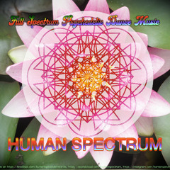 VNESS - Human Spectrum Set - March 2025