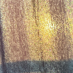 curiosity finds the dancehall