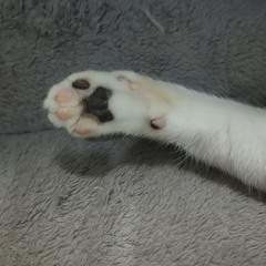 Oldies Station by Twenty One Pilots (Cover).wav