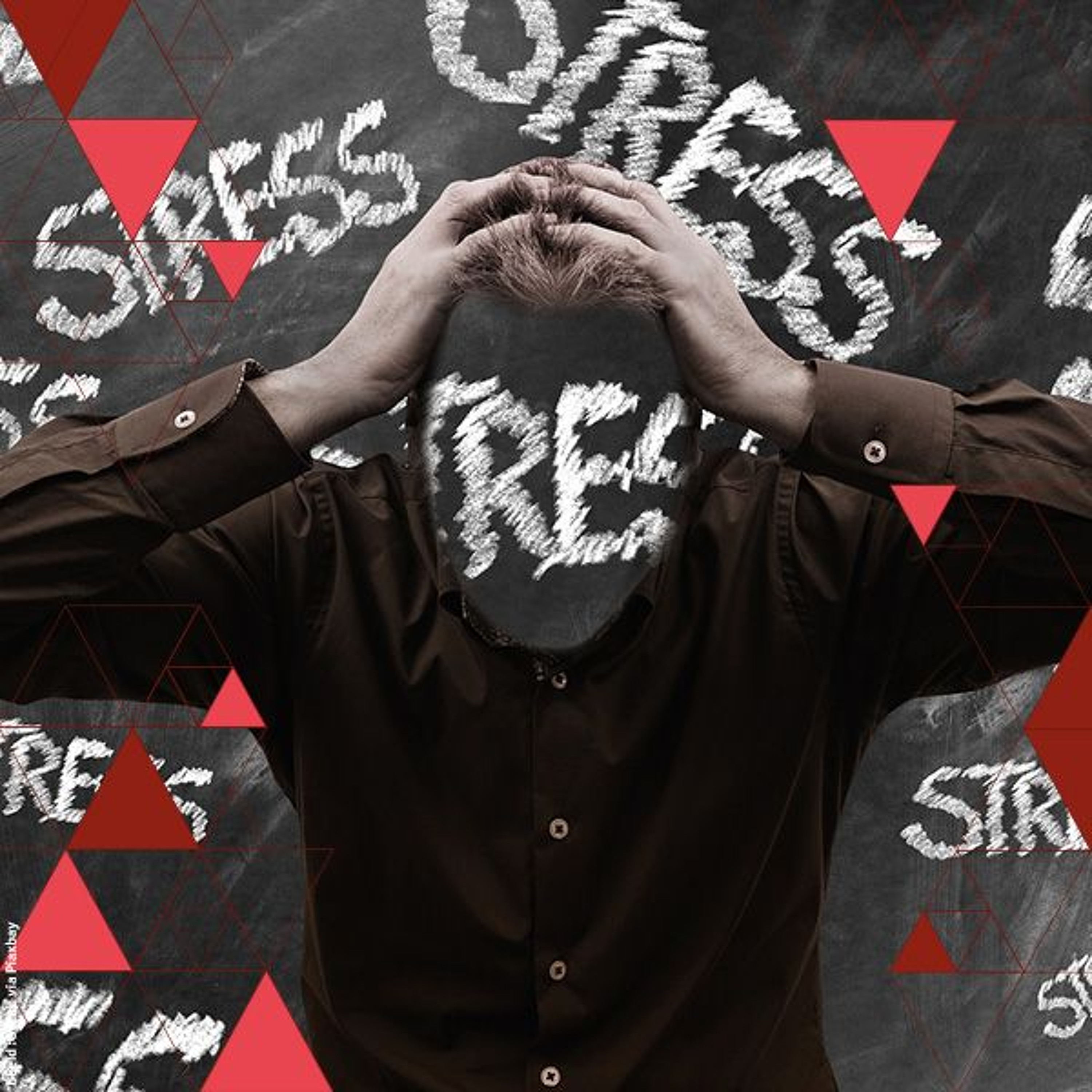 Radboud Reflects, verdiepende lezingen