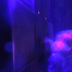 Ptite Tribeee