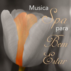 Musicas Tranquilas