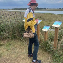 Stereophonic Sound Spectacular 11.09.24  - Jim Langdon