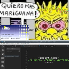 SUBE | PLUNGED ZATGE OSTRIK