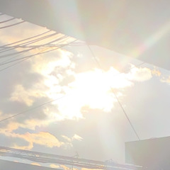 光（24h）