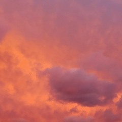 The Association - Never My Love (Cover)