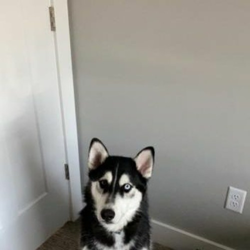 helpurself instrumental