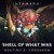 Artwork for Shell of What Was [Destiny 2: Forsaken OST Metal Cover]