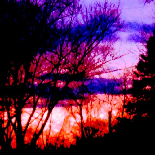 Everything Will Be Revealed (Ultrasonic Pest Repellent & Cosmic Keanu) An OfficerMurphy Mix