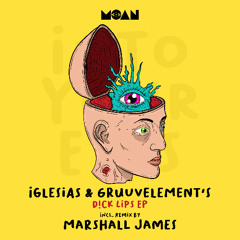 Iglesias, GruuvElement's - D!ck Lips (Marshall James Remix)