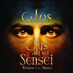 Eyes of The Sensei