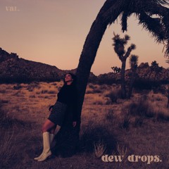 dew drops.