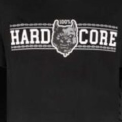 Thrillseeka Omni Hardcore Boy - V . 14