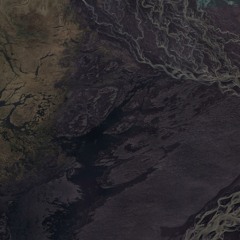 Compilation tracks and features