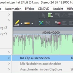 Der Dude der es ausgeschnitten hat