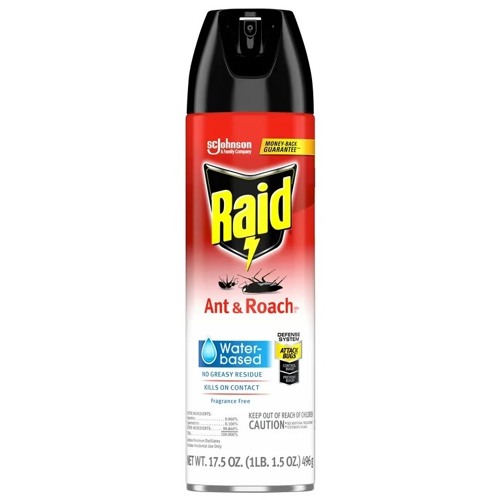 Raid (Anthony Edwards Diss)