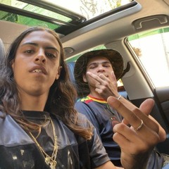 Lcnavoz - Pitbull Feroz