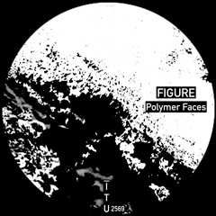 Figure - Polymer Faces [ITU2569]