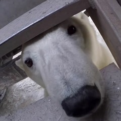 black on me devotional (feat. delcada)