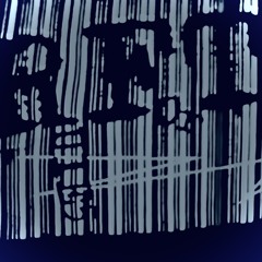 {NauSs_S3iD_Tag_3ins}