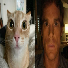 Shadow of the Turning Tide (remastered)