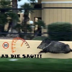 💨Ab die sau