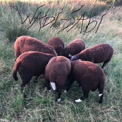 Wabi-sabi