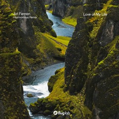 Ari Fernan - Starts Now (Harmonious Remix) [Flug Lab]