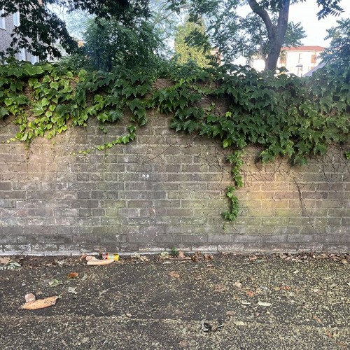 The Early Bird Show w/ Spirit Blue 250625