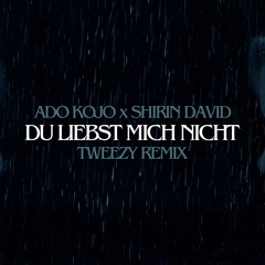 Ado Kojo feat. Shirin David - Du liebst mich nicht ( Tweezy remix )