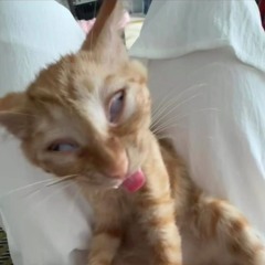 MUỘN RỒI MÀ SAO CÒN x NƠI NÀY CÓ ANH | VIETZ REMIX