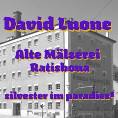 David Luone | Alte Mälzerei Ratisbona | Silvester im Paradies1