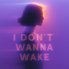 Nouraï - I Don't Wanna Wake (Slowed)