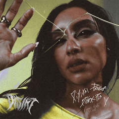 Chitra - Digital Daydream (DISINT FLIP) RR Ver.