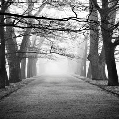 Beyond The Mysteries (by Frozen Lab)